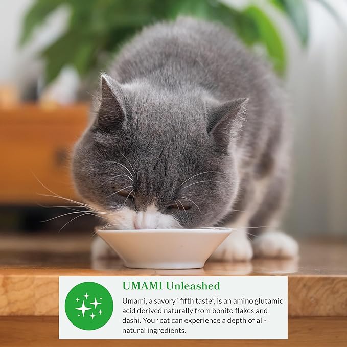 INABA Dashi Delights for Cats, 2.5 Ounce Cup, 6 Cups Total, Chicken & Bonito Flakes Recipe
