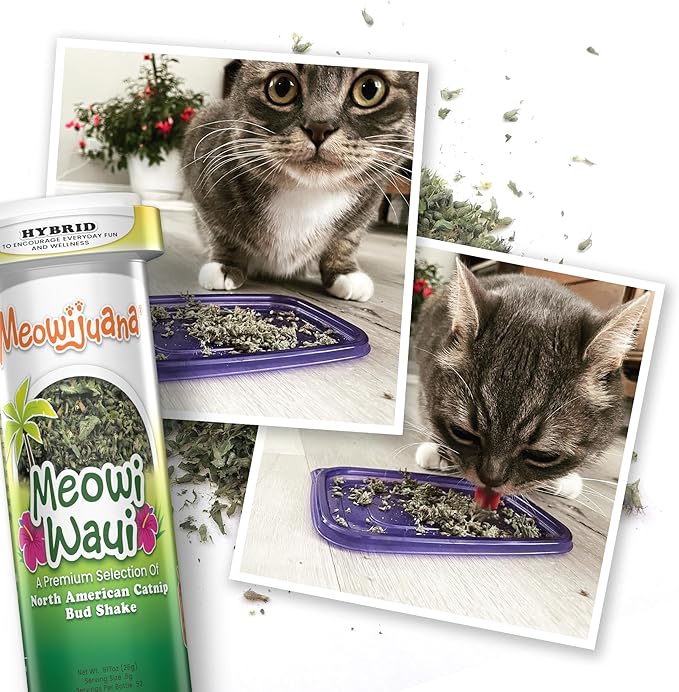 Meowijuana Cloud 9 Bundle | King Size Catnip Joints and Meowi-Waui | Hand Harvested and Rolled Dried High Potency Catnip | Grown in North America