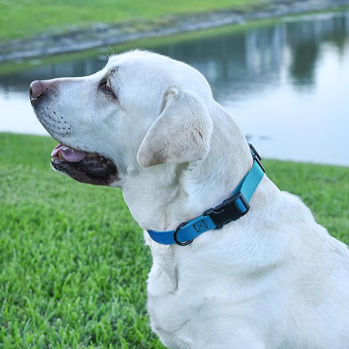 Dogline Biothane Waterproof Dog Collar with Quick Release Buckle Strong Coated Nylon Webbing with Odor- Proof for Easy Care Easy to Clean Fits Small Medium Large Dogs, Dogline Blue 5/8" W 9-14" L
