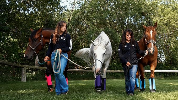 Warrior Fly Boots for Horses - Breathable Mesh Horse Boots for Fly Protection & Leg Comfort - Set of 4 (The Warrior, Purple)