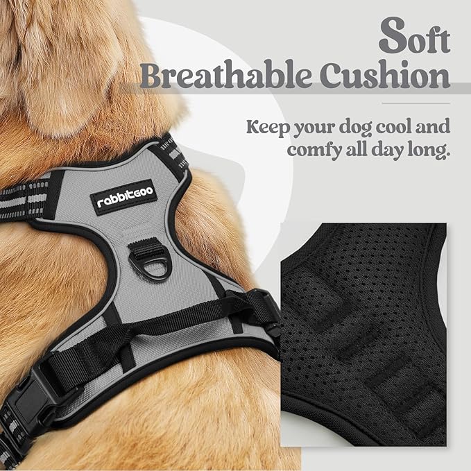 rabbitgoo Dog Harness No Pull with 2 Leash Clips, Adjustable Soft Padded, Reflective Oxford No Choke Pet Vest with Easy Control Handle for Large Dogs, Grey, L