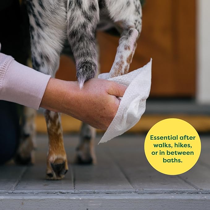 Earth Rated Dog Wipes, Hypoallergenic, Cleaning and Hydrating, for Grooming Paws, Body and Butt, Lavender Scented, 400 Count