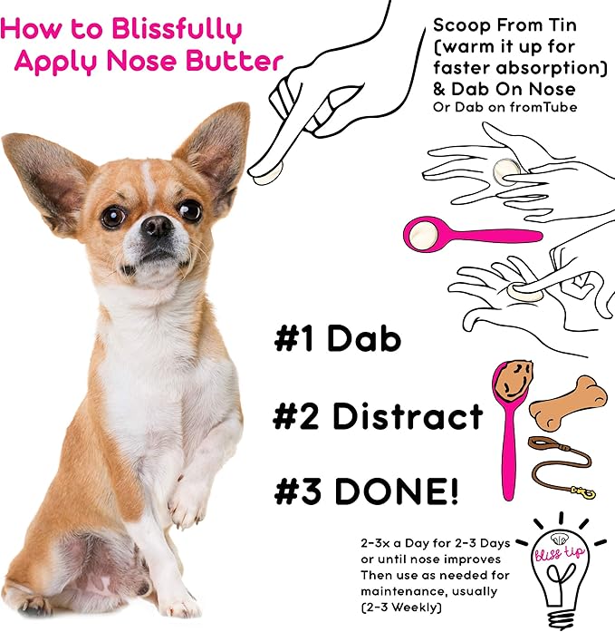 The Blissful Dog Smooth Coat Chihuahua Nose Butter for Dry, Cracked Skin, Lick-Safe Dog Nose Balm with Moisturizing Shea Butter, Almond, Olive, and Essential Oils, Pet Supplies, Uncented, 2 oz.