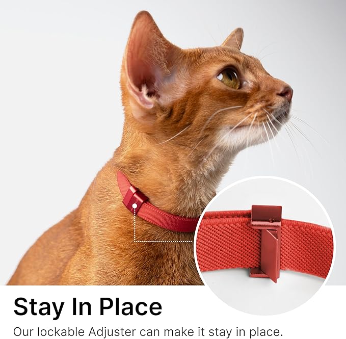 Safety Cat Collar Pro - U.S. IDA Gold Awarding Design, Elastic Quick Release Cat Collar with Buckle Non Breakaway - Lightweight for Kitten All Small Large Cats (Alpine Green, M 7.9-15.7")