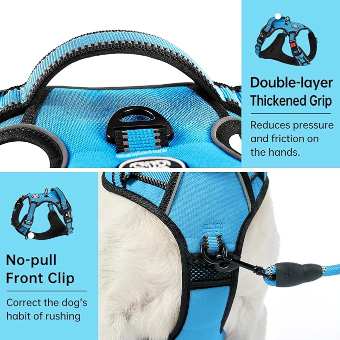 IVY&LANE No Pull Dog Harness for Medium Dogs, Dog Vest Harness with Leash, Safety Belt and Storage Strap, Fully Adjustable, 360 Reflective Strip, Soft Handle (Blue, M)
