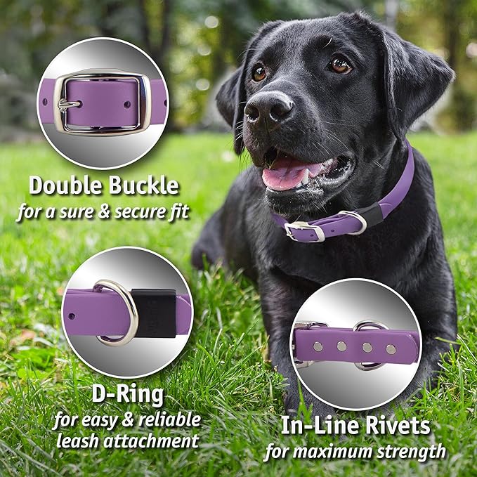 Biothane Custom Dog Collar – Waterproof, Stink-Proof Personalized Collar with Name & Phone Number – Durable, Many Sizes and Colors – Assembled in USA (Olive Green)