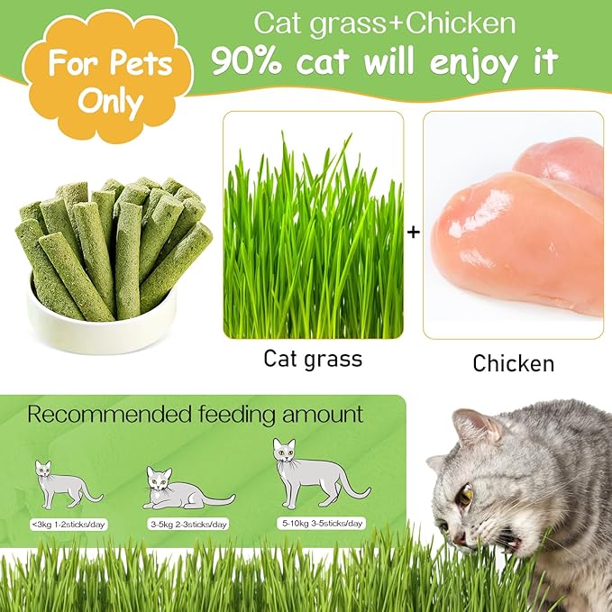 HavenJanny 100g Cat Grass Teething Stick, Freezed Drying Cat Grass Sticks Snacks for Cats, Edible Cats Treats for Teeth Cleaning and Hairball Removal