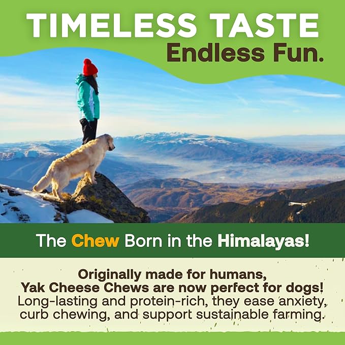 EcoKind Premium Gold Monster Yak Cheese Himalayan Dog Chew, Dog Treats Large Breed, All Natural, High Protein, for Aggressive Chewers, XL - 15+ Chews (5 lbs)