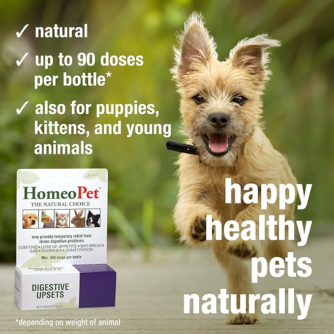 HomeoPet Digestive Upsets, Safe, Gentle, and Natural Cat and Dog Digestive Support, 15 Milliliters