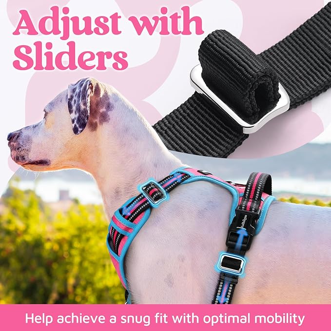 rabbitgoo Dog Harness Medium Sized, No Pull Dog Vest with 3 Buckles, Adjustable Soft Padded Pet Harness with Easy Control Handle and Reflective Strips, Rose Pink & Blue, M