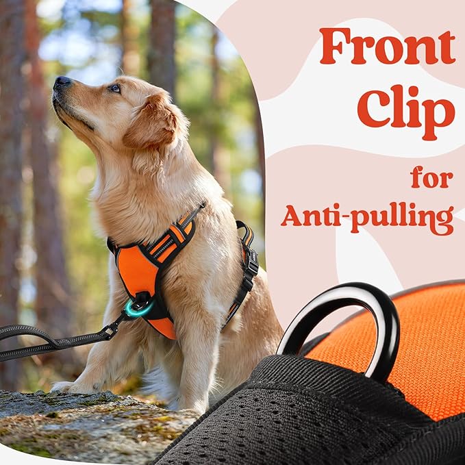 rabbitgoo Dog Harness Small Sized, No Pull Pet Harness with 3 Buckles, Adjustable Soft Padded Vest with Control Handle, Walking Reflective Pet Vest for Small Dogs, Orange, S