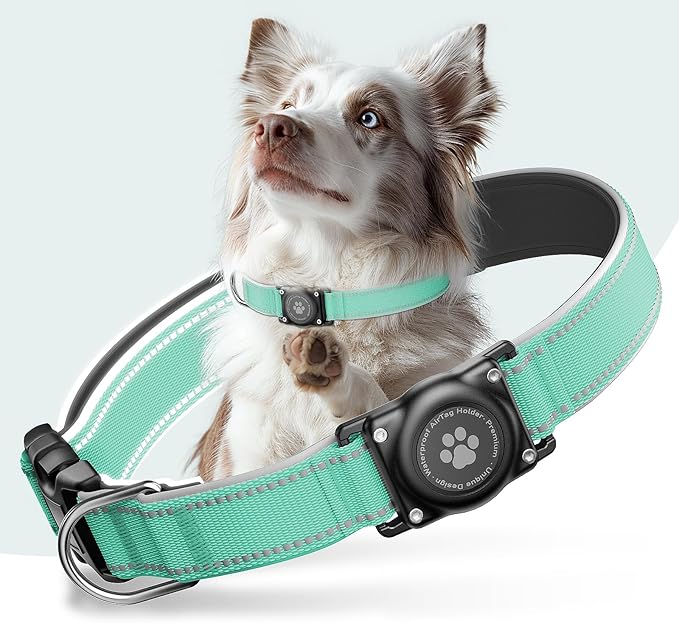 Upgraded AirTag Dog Collar, IP68 Waterproof Air Tag Dog Collar Holder, Reflective, Ultra-Durable, Comfortable Padded, Heavy Duty Dog Collars for Small Medium Large Dogs (Aqua, S)
