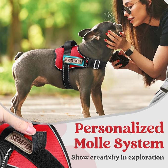 rabbitgoo Dog Harness Medium Sized, Easy On Pet Vest with One Buckle, No Pull Adjustable Service Harness with D-Ring & Handle, Reflective for Safety Walking, Training, Red, M