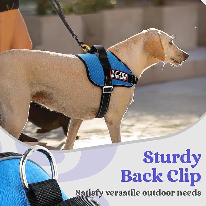 rabbitgoo Dog Harness for Large, Easy On Pet Vest with One Buckle, No Pull Adjustable Service Harness with D-Ring & Handle, Reflective for Safety Walking, Training, Blue, XL