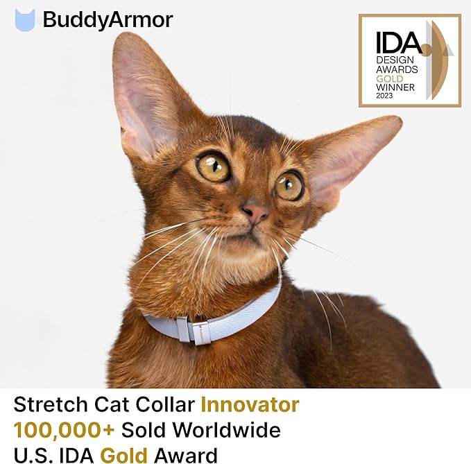 Safety Cat Collar Pro - U.S. IDA Gold Awarding Design, Elastic Quick Release Cat Collar with Buckle Non Breakaway - Lightweight for Kitten All Small Large Cats (Vivid Red, M 7.9-15.7")