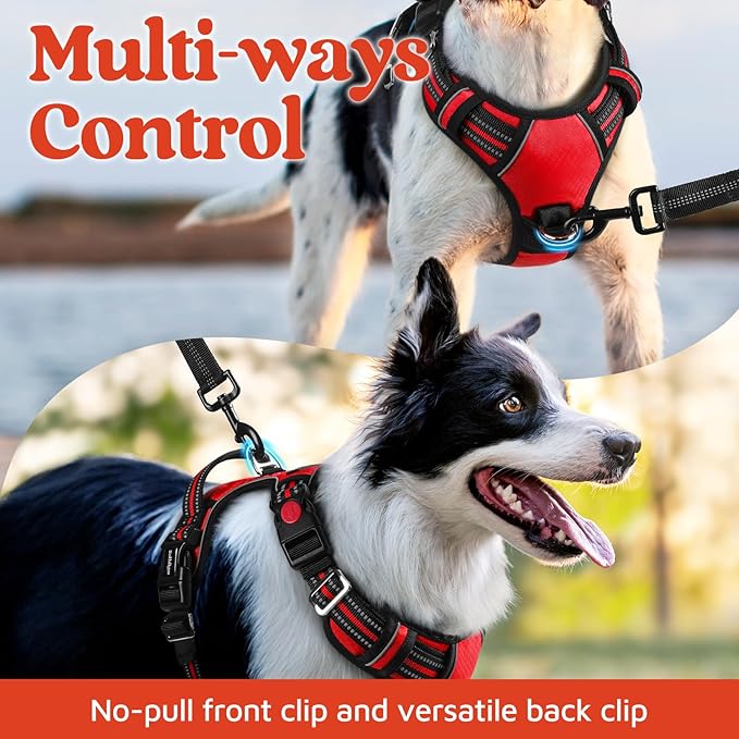 rabbitgoo Dog Harness for Large Dogs, No Pull Pet Vest with 3 Buckles, Adjustable Soft Padded Pet Harness with Easy Control Handle and Reflective Strips, Red, L
