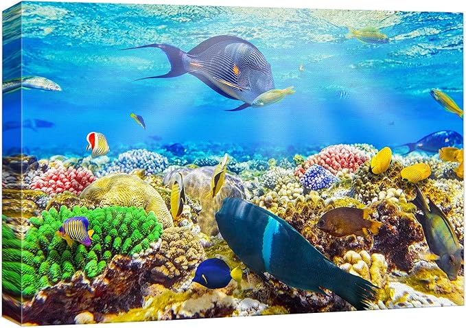 wall26 Canvas Print Wall Art Sunlight Ocean Sea Coral Reef Anemone Fish Nature Animals Photography Realism Rustic Scenic Landscape Wilderness Earth for Living Room, Bedroom, Office - 32"x48"