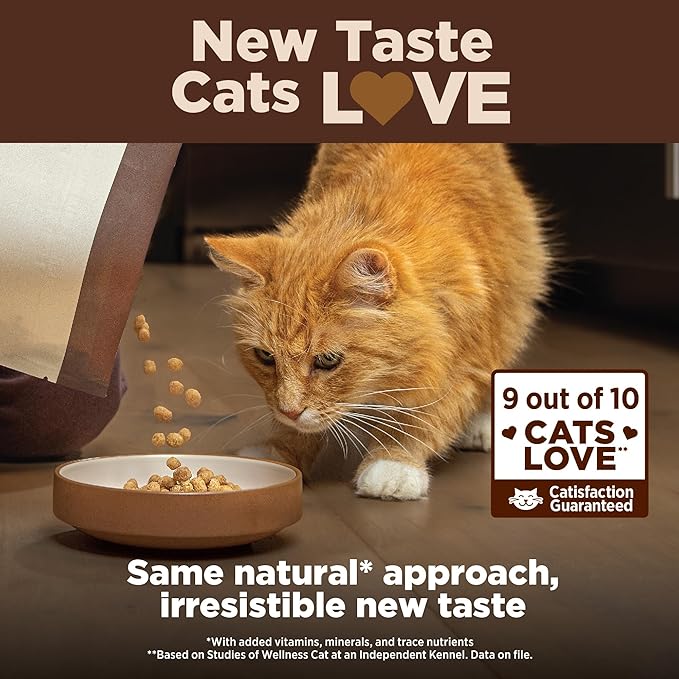 Wellness CORE+ Adult Dry Cat Food for Indoor and Outdoor Cats, Wholesome Grains, Natural, Digestive Health Chicken & Rice (11 Pound Bag)