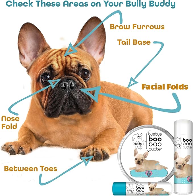 The Blissful Dog .15 oz Tube French Bulldog Booboo Butter