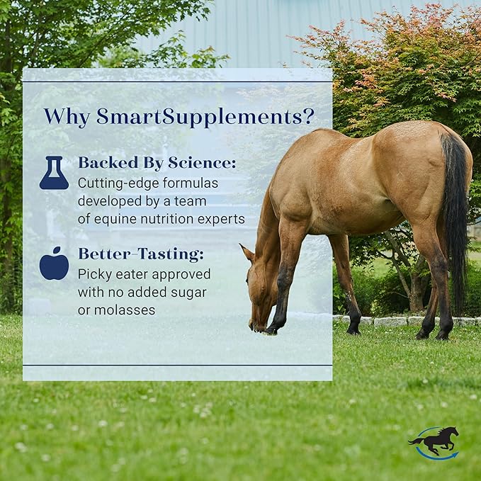 SmartVite Perform Senior Pellets | Vitamin E, Magnesium Supplement for Senior Horses | Includes Vitamin C, B Complex, Manganese, Biotin and More | 56 Servings | 12.5 lb Bucket