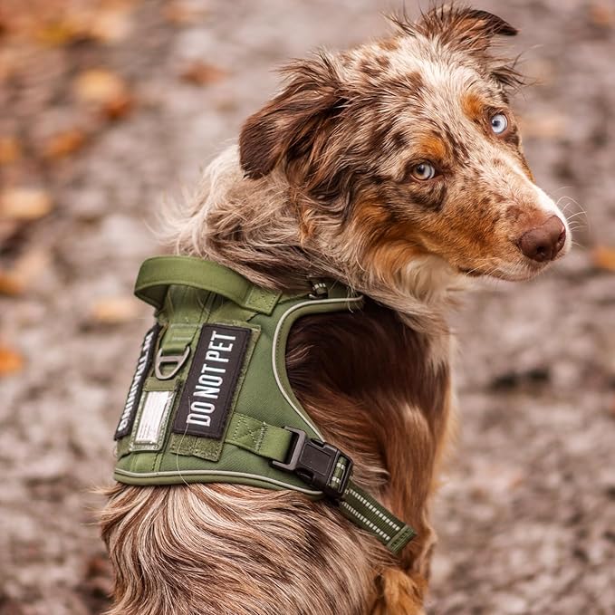 rabbitgoo Dog Harness for Large Dogs No Pull, Tactical Service Pet Vest with Molle and Control Handle, Adjustable and Reflective Military Harness for Easy Walking and Training, Red, XL
