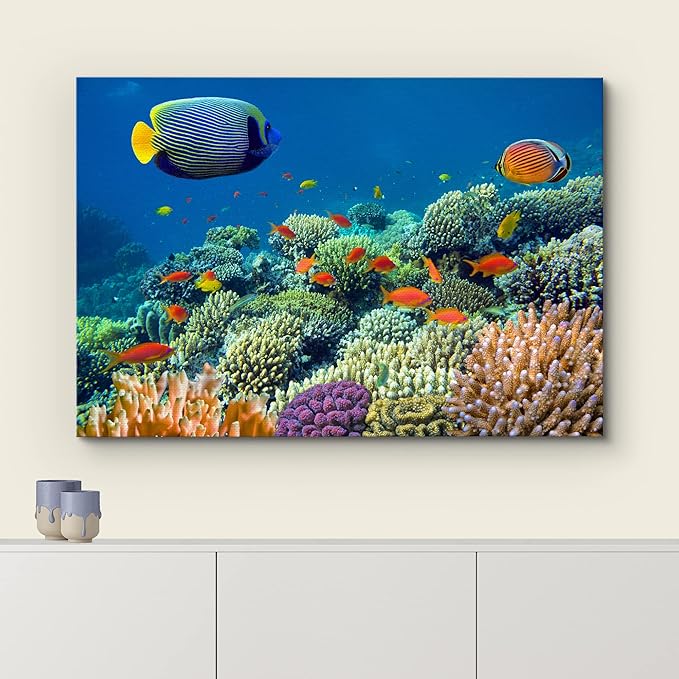wall26 Canvas Print Wall Art Tropical Underwater Sea Coral Reef Fish Nature Animals Photography Realism Rustic Scenic Landscape Wilderness Earth Colorful for Living Room, Bedroom, Office - 12"x18"
