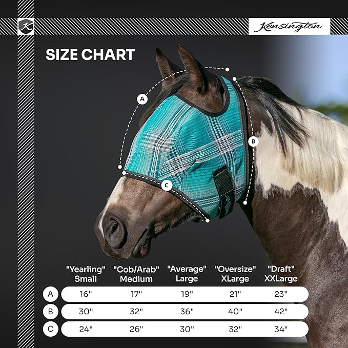 Kensington Fly Mask Web Trim Protects Horses Face and Eyes from Bites and Sun Rays While Allowing Full Visibility Ears and Forelock Able to Come Through The Mask, Small, Imperial Jade