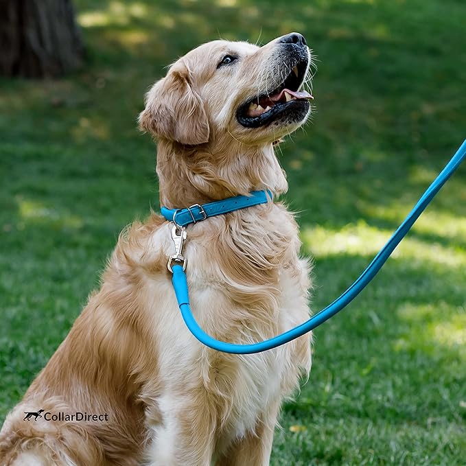 CollarDirect Rolled Leather Dog Collar, Soft Padded Round Puppy Collar, Handmade Genuine Leather Collar Dog Small Large Cat Collars 13 Colors (6-7 Inch, Light Blue Textured)