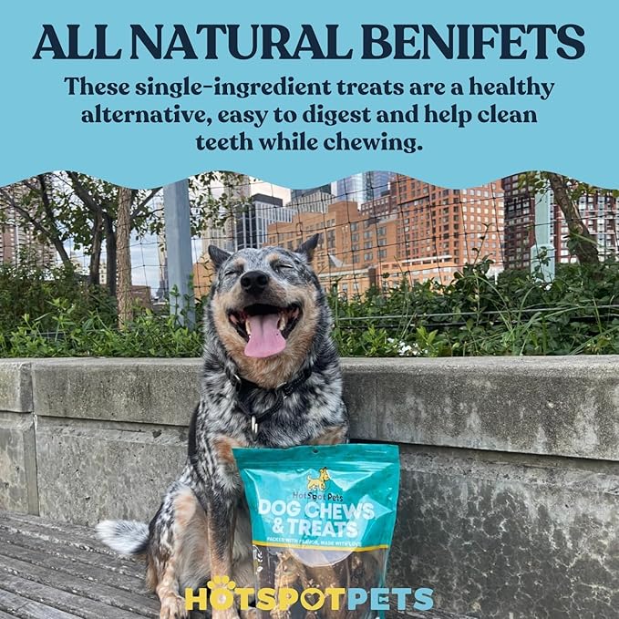 Full-Size Cow Hooves for Dogs | (5 Pack) All-Natural Long Lasting Dog Chews | Made from Grass Fed Cattle | Tasty Treat for Oral Hygiene | Fantastic Alternative for Rawhide and Bully Sticks