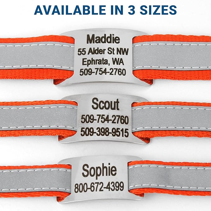 GoTags Reflective Personalized Dog Collar with Nameplate, Adjustable Dog Collar with Custom Engraved Steel Slide On Pet ID Tag, Silent, No Noise Dog Tag for Large Medium or Small (Orange, Medium)