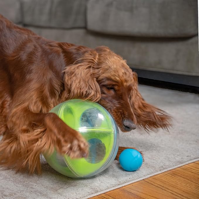 Outward Hound by Nina Ottosson A-Maze Ball Dog Treat Puzzle Ball, Level 2 Intermediate, Green