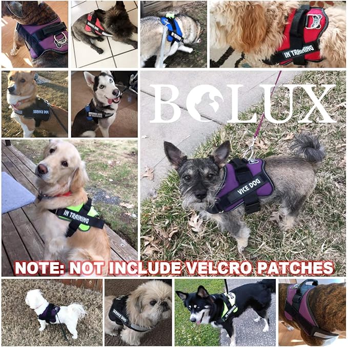 Bolux Dog Harness, No-Pull Reflective Dog Vest, Breathable Adjustable Pet Harness with Handle for Outdoor Walking - No More Pulling, Tugging or Choking (Red, XS)