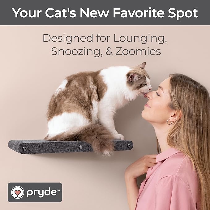 Wall Mounted Cat Perch Long Shelf by Pryde Pets - Floating Hammock Bed, 100% Sustainable PET Felt Feline Enrichment Climber Furniture for Indoor Cats, Modern Climbing Gym Jungle Design (Charcoal)
