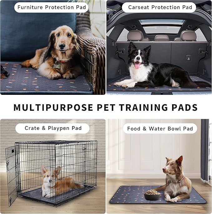 Sunheir Washable Pee Pads for Dogs 2-Pack Reusable Puppy Pads Pet Training Pads, Waterproof Dog Pee Pads for Crate, Whelping Pad, Non-Slip Protects Against Urine Leakage (Leaves - Sky Blue, 24x36)