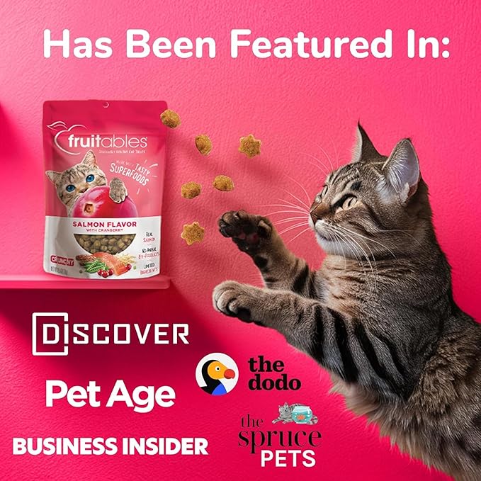 Fruitables Cat Crunchy Treats For Cats – Healthy Low Calorie Packed with Protein – No Wheat, Corn or Soy – Made with Real Salmon with Cranberry – 2.5 Ounces