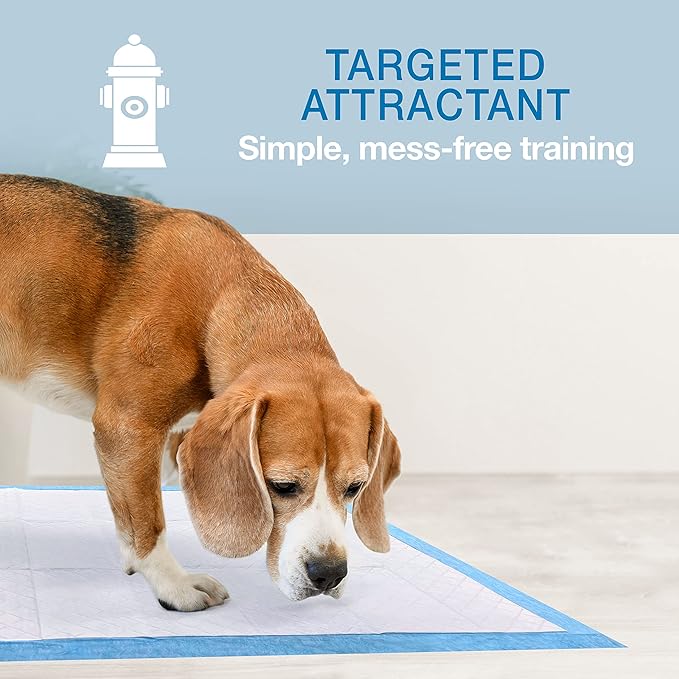 Four Paws Wee-Wee Odor Control with Febreze Freshness Pee Pads for Dogs & Puppies, Leak-Proof Dog Housebreaking Potty Training Floor Protection, Spring Fresh Scent, 22" x 23", 50 Count