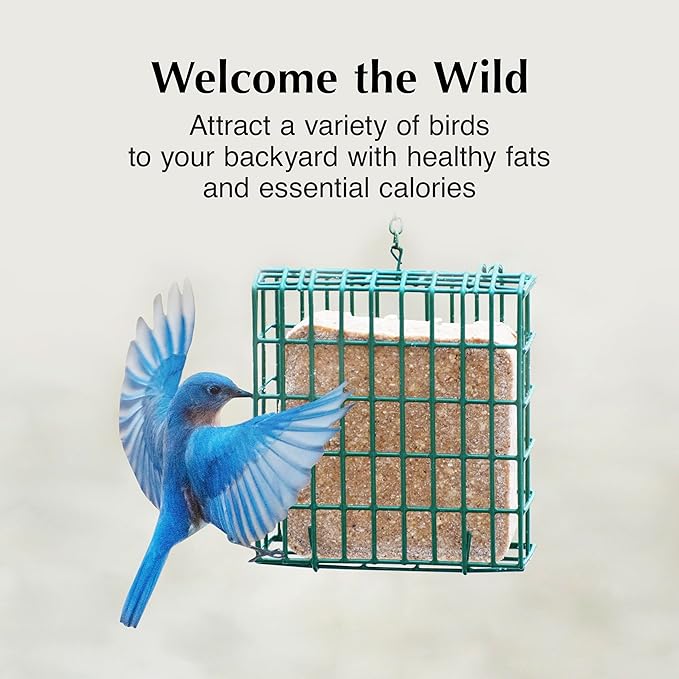 C&S High Energy Delight No Melt Suet Dough, Suet Cakes for Wild Birds, 11 Ounces, Pack of 8