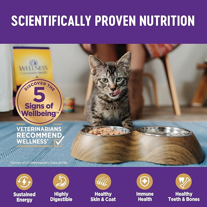Wellness Complete Health Pate Adult Wet Cat Food, Natural, Protein-Rich, Grain Free, 5.5 Ounce, 24 Pack, (Turkey & Salmon)