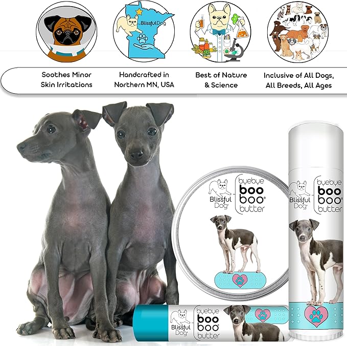 The Blissful Dog Italian Greyhound Boo Boo Butter, 8-Ounce