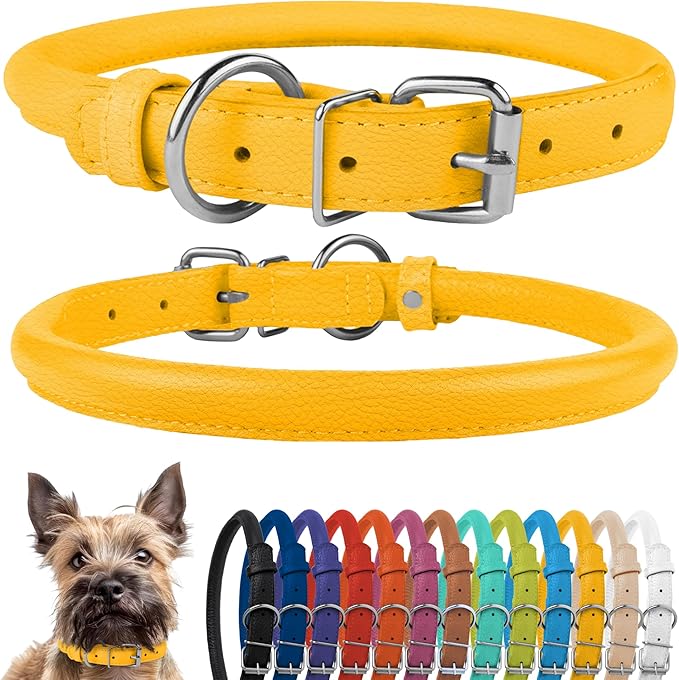 CollarDirect Rolled Leather Dog Collar, Soft Padded Round Puppy Collar, Handmade Genuine Leather Collar Dog Small Large Cat Collars 13 Colors (8-11 Inch, Yellow Textured)