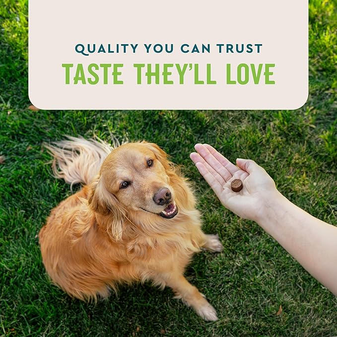 VetIQ Probiotic Supplement for Dogs, Digestive Support for Dogs, Nourishes Gut Bacteria and Supports Bowel Function, Hickory Smoke Flavor, Made in The USA, 180 Count