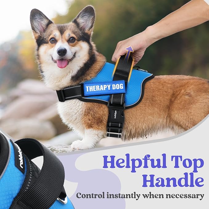 rabbitgoo Dog Harness for Large, Easy On Pet Vest with One Buckle, No Pull Adjustable Service Harness with D-Ring & Handle, Reflective for Safety Walking, Training, Blue, XL