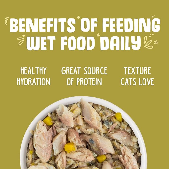 Weruva Classic Cat Food, Meow Luau with Mackerel & Pumpkin in Gravy, 3oz Can (Pack of 24)