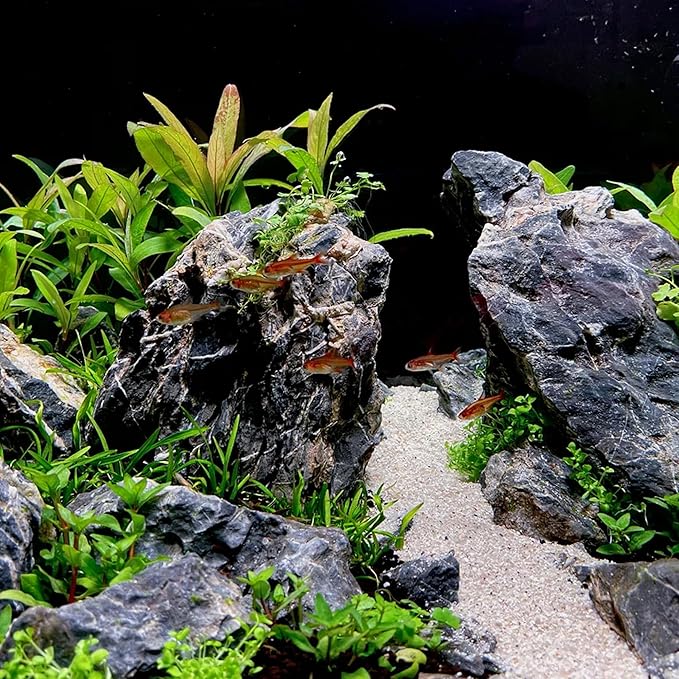 22-24 Inches Natural Seiryu Stone 1 PCS Ultra Large Aquarium Rocks for Aquascaping, Aquarium Landscaping, Terrariums, Fish Tank Decoration, Vivariums, Paludarium, Amphibian Enclosures