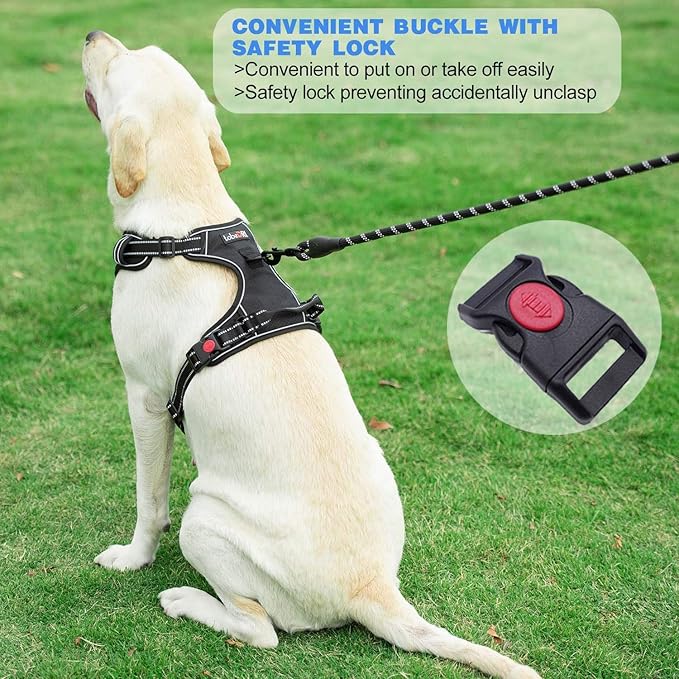 No Pull Dog Harness Adjustable Reflective Oxford Easy Control Medium Large Dog Harness with A Free Heavy Duty 5ft Dog Leash (L (Neck: 18"-25.5", Chest: 24.5"-33"), Blue Harness+Leash)