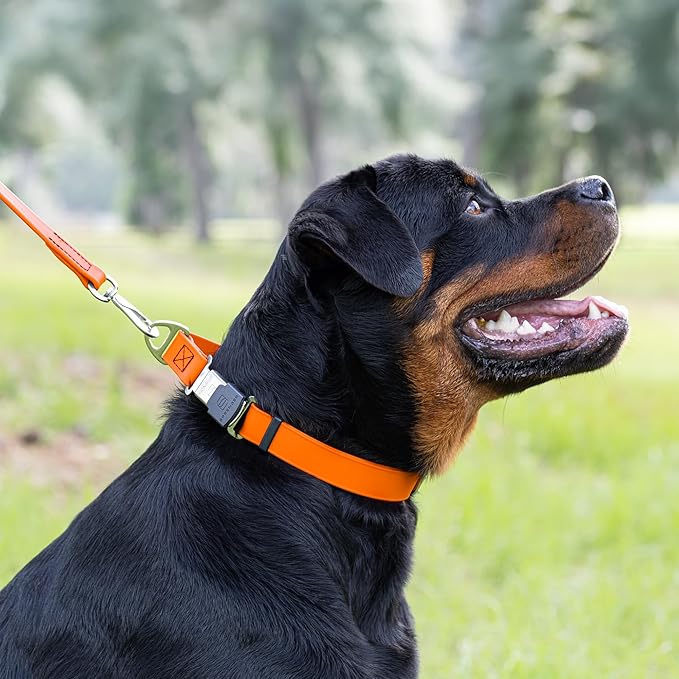 Dogline Biothane Waterproof Dog Collar with Herm Sprenger Black Stainless Steel Quick Release Buckle – Heavy Duty Tactical Durable Collar for Dogs – Comfortable and Safe Pet Collar, W 3/4" L 12-19"