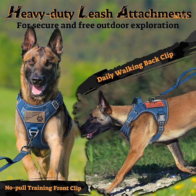 rabbitgoo Dog Harness for Large Dogs No Pull, Tactical Service Pet Vest with Molle and Control Handle, Adjustable and Reflective Military Harness for Easy Walking and Training, Blue, XL