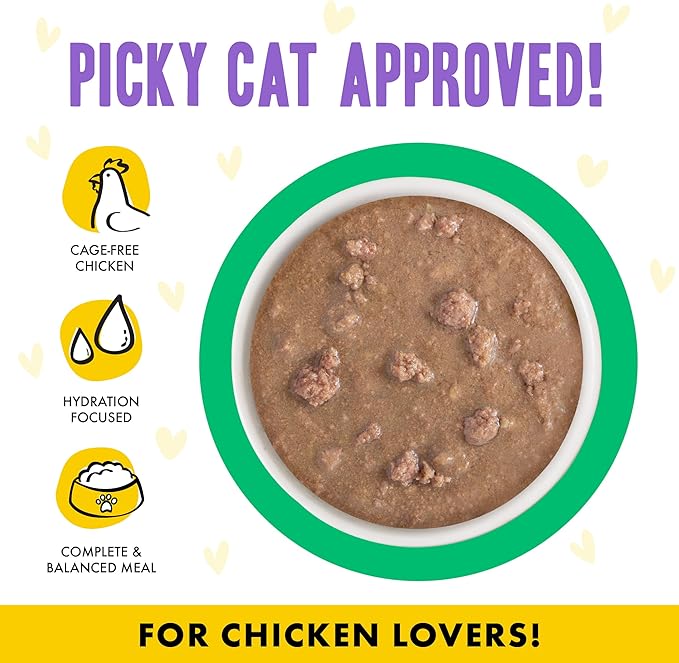 Weruva B.F.F. OMG - Best Feline Friend Oh My Gravy!, Chicken & Turkey Text Me with Chicken & Turkey in Gravy, 2.8oz Pouch (Pack of 12)