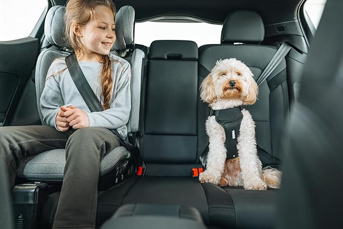 Thule Cappy Dog Harness S - Crash-Tested for Safety - Seatbelt passthrough - Adjustable & Easy to Clean - Padded Breathable mesh Panels - Leash Loop - Step-in Design