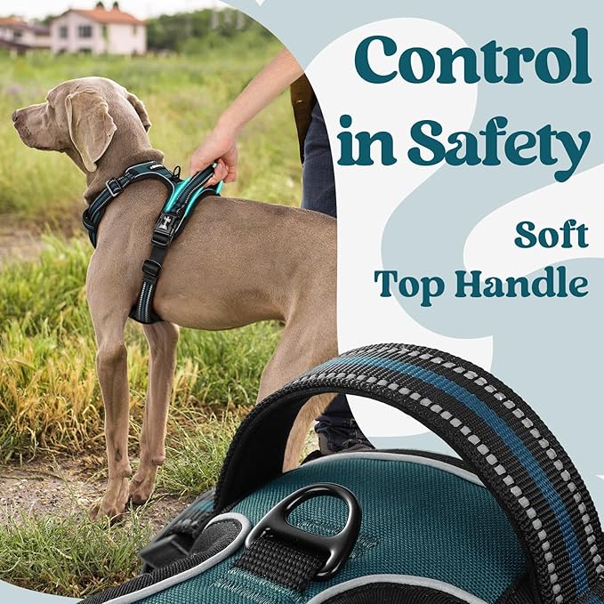 rabbitgoo Dog Harness for Large, No Pull Pet Harness with 3 Buckles, Adjustable Soft Padded Vest with Control Handle, Walking Reflective Pet Vest for Extra Large Dogs,Blue Coral,XL